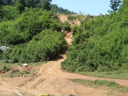 [Linked Image von viermalvier.de]