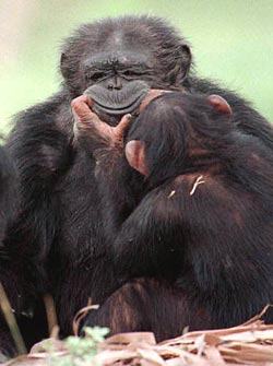 [Linked Image von viermalvier.de]